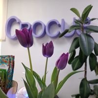 Студия Красоты Crocus — LPG массаж в Хабаровске