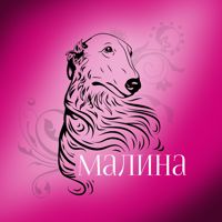 Зоосалон Малина — уход tokio inkarami в городе Малоярославец