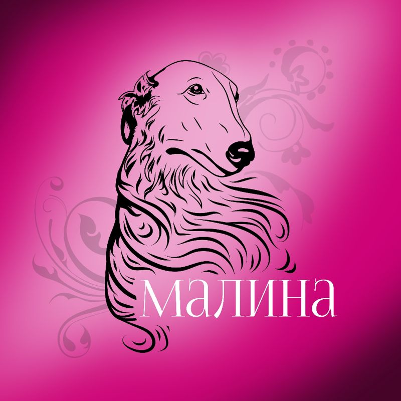 Зоосалон Малина