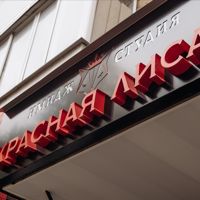 Имидж-студия Красная лиса — укладка в Ухте