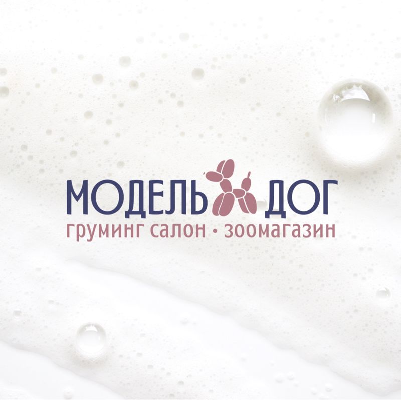 Модель Дог