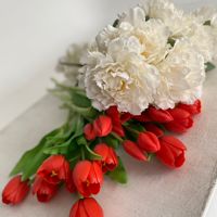 Пространство Рафисы Гимаевой — прическа в городе Альметьевск
