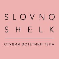 SLOVNO SHELK — микротоки в Сергиевом Посаде