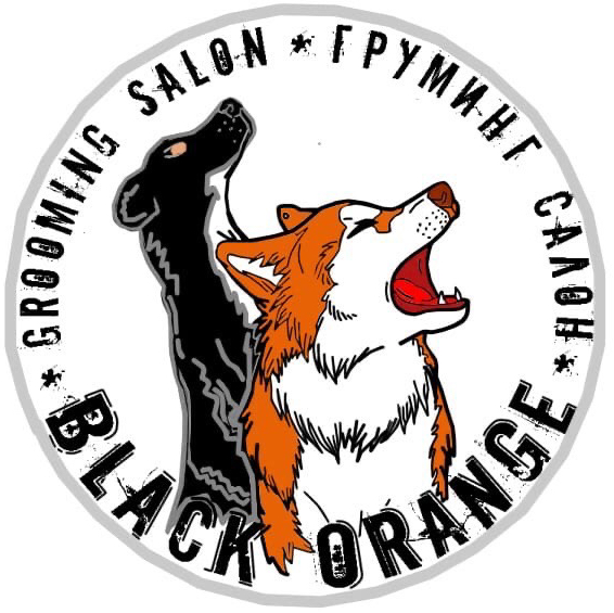 Black orange груминг салон