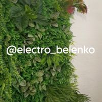 Electro_belenko — консультация в Смоленске