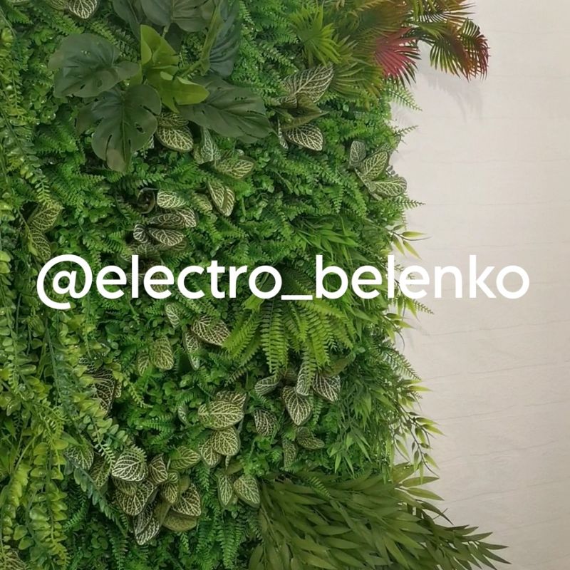 Electro_belenko