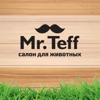 Салон красоты для животных "Mr.Teff" — дизайн ногтей в Новороссийске