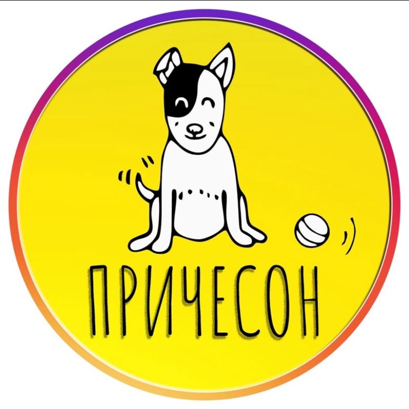 Причесон