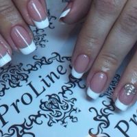 Proline Beauty — бритьё бороды