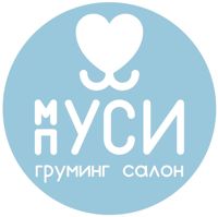 Груминг салон "Муси Пуси" на Вьюжной — груминг пуделя в Тюмени