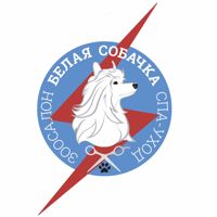 Премиальный Зоосалон «Дом Грумера» на Пригородной 2 — груминг пуделя в Смоленске