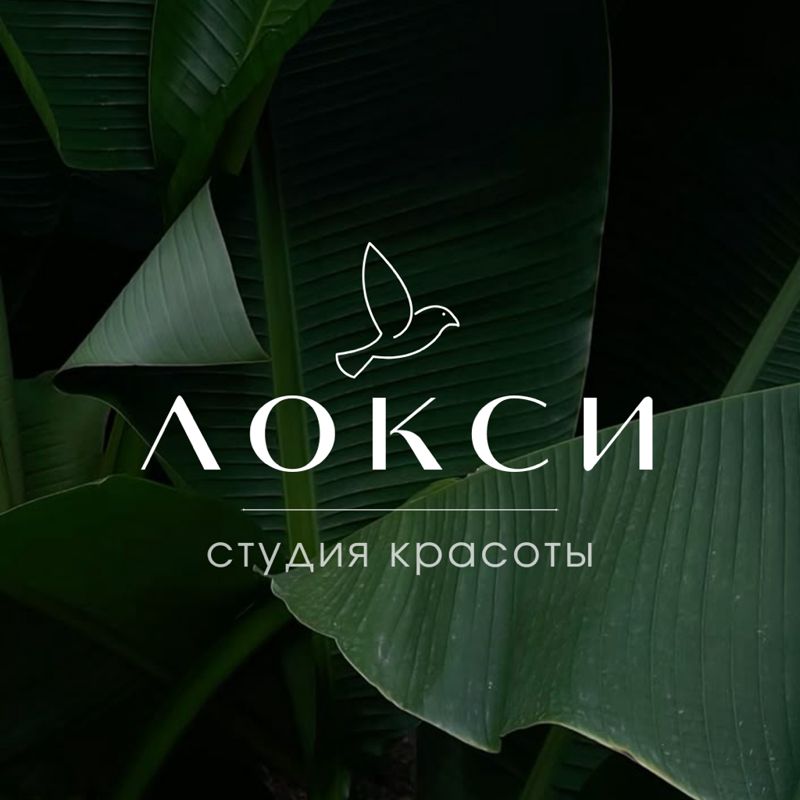студия красоты ЛОКСИ