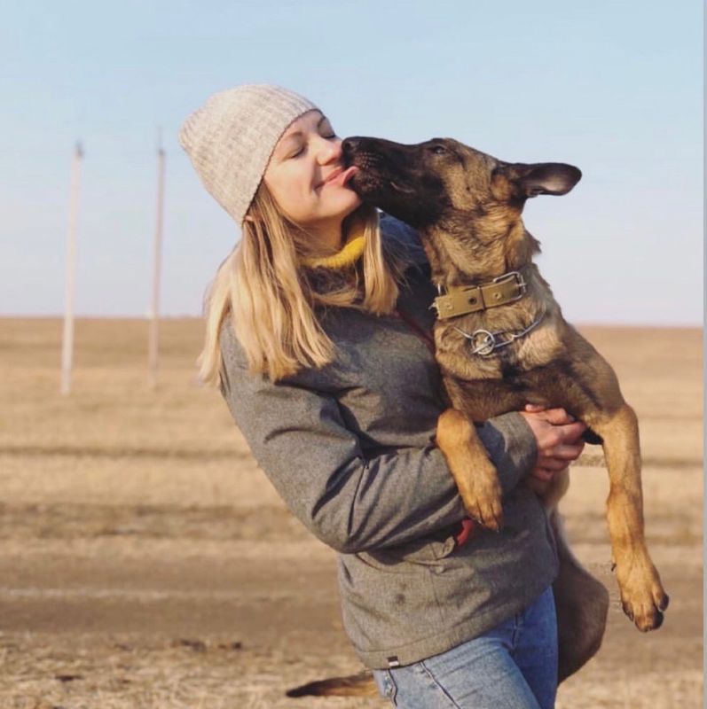 Школа Дрессировки собак Dogpower
