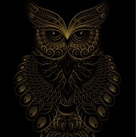 Салон красоты «Сова» — пирсинг в Сыктывкаре