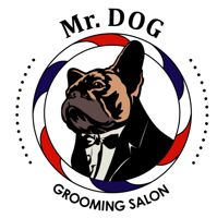 Груминг салон «Mr.Dog» — груминг пуделя в Челябинске