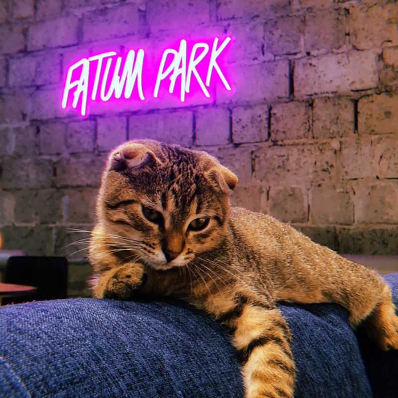 Скейт-парк FATUM
