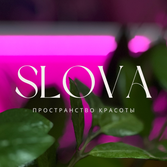 СЛОВА