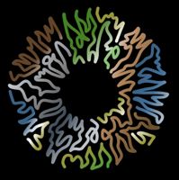 Eyesplan — контурная пластика (филлеры Neocoll/Repart) в Томске