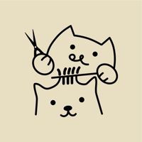 Honey pets — груминг мейн-куна в Тюмени