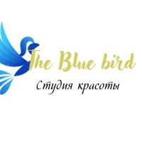 Студия красоты Синяя птица — татуаж бровей в Брянске