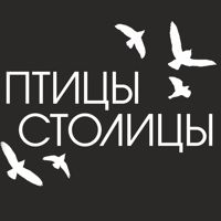 Птицы Столицы — биозавивка в Томске