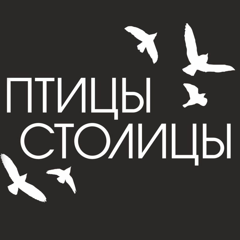 Птицы Столицы
