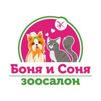 Зоосалон «Боня и Соня» — груминг пуделя в Краснодаре