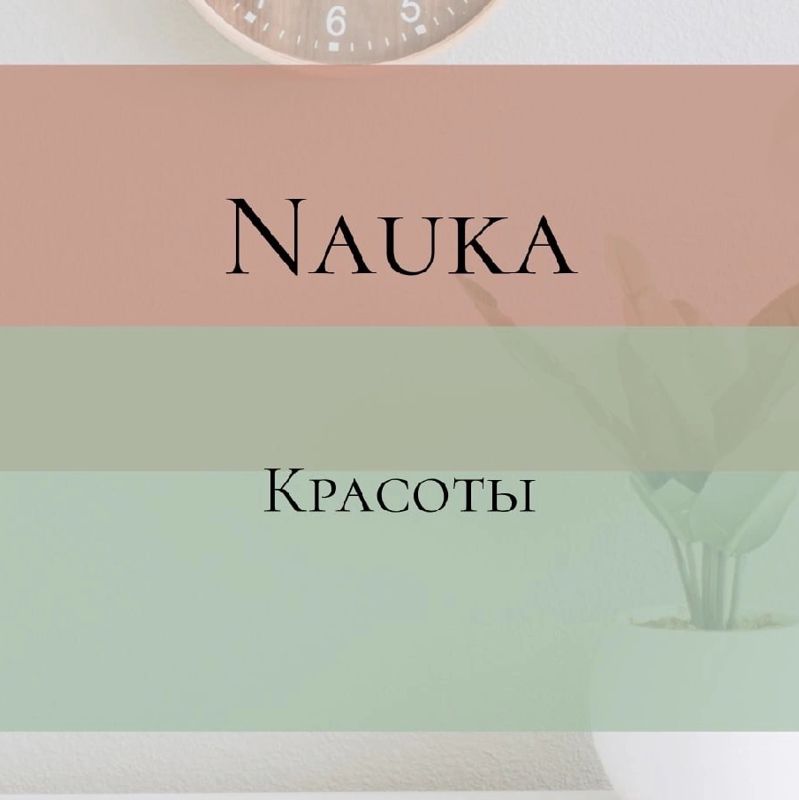 Nauka Красоты