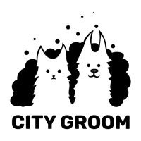 City Groom Московский пр. — груминг пуделя в Тольятти