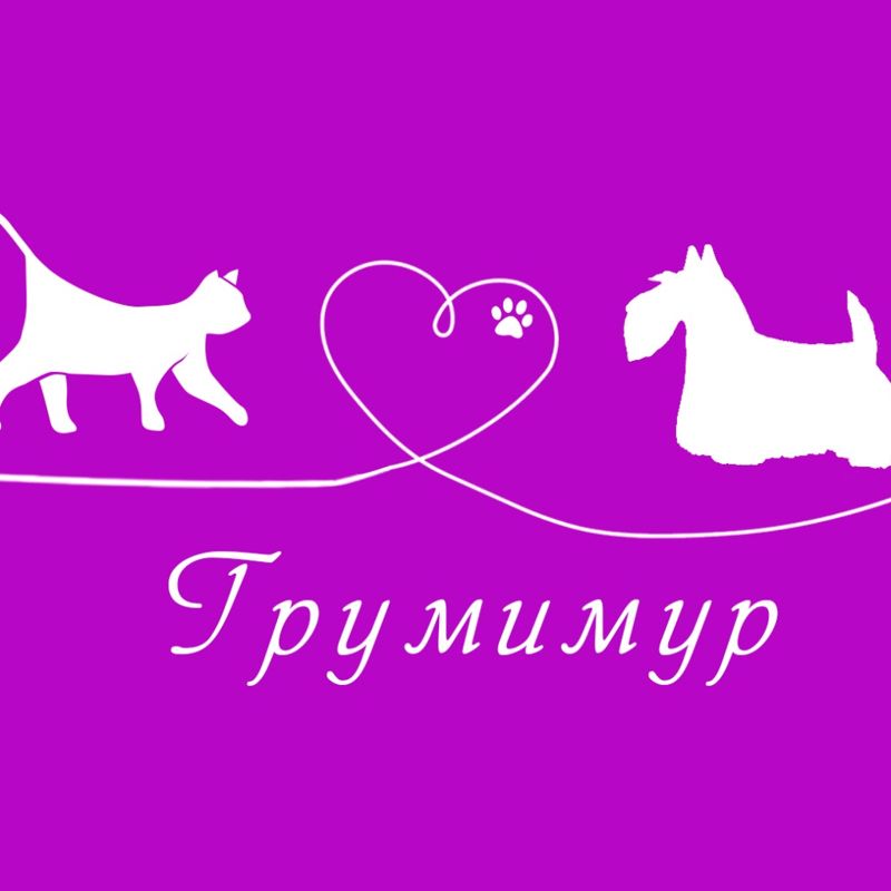 Зоосалон, зоогостиница Грумимур