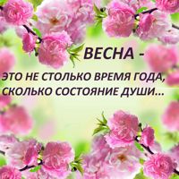 "ВЕСНА" — биозавивка в Архангельске