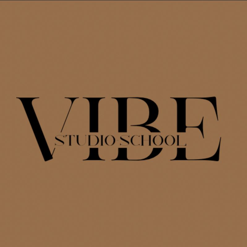 Vibe-studio-school