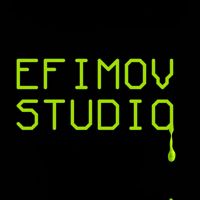 EFIMOV STUDIO — осветление волос в Новосибирске