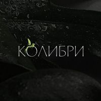 Салон эстетических процедур  «Колибри» — эйртач в городе Березовский