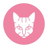 ZLOBINA NAILS STUDIO — массаж стоп в Кирове