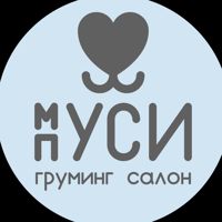 Груминг салон "Муси Пуси" на Республики — груминг пуделя в Тюмени
