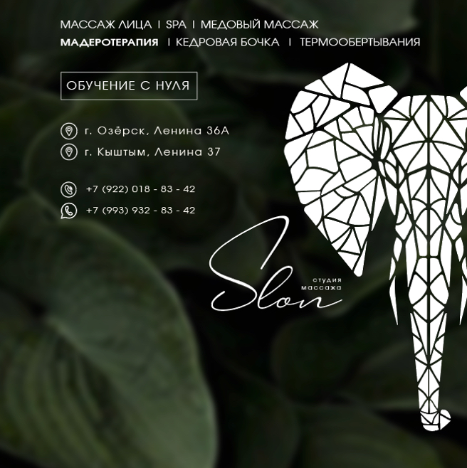SLON || ОЗЁРСК || студия массажа