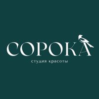 СОРОКА студия красоты Самара — титановая нить в Самаре
