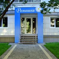Ромашка — прическа в Воронеже