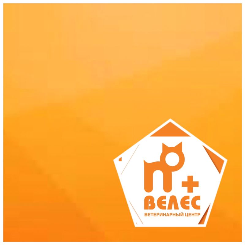 ВЦ Велес Малоярославец филиал