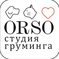 Orso — груминг пуделя в Красноярске