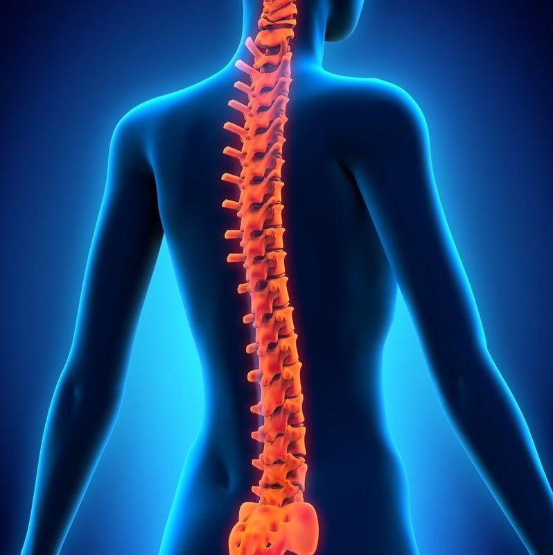 Реабилитационный Центр „Vertebra“
