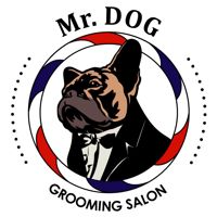 Груминг салон «Mr.Dog» — груминг пуделя в Челябинске