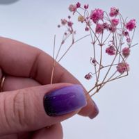 Kruto_naill_studio
Студия маникюра и педикюра
Ксении Крутолаповой — титановая нить в Омске