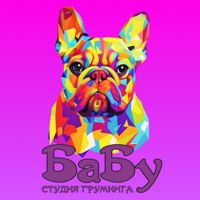 БаБу — микротоки в городе Реутов
