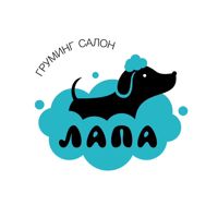 Груминг-салон Лапа — груминг пуделя в Тюмени