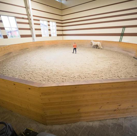 White Horse