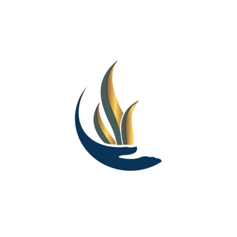 Laminariastudio