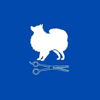 Ново Грум — груминг пуделя в Новороссийске
