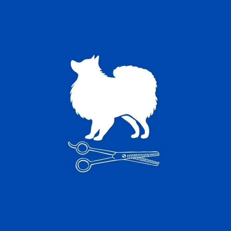 Ново Грум